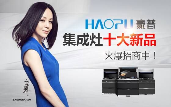 集成水槽和消毒柜哪个品牌好 豪普集成水槽怎么安装？